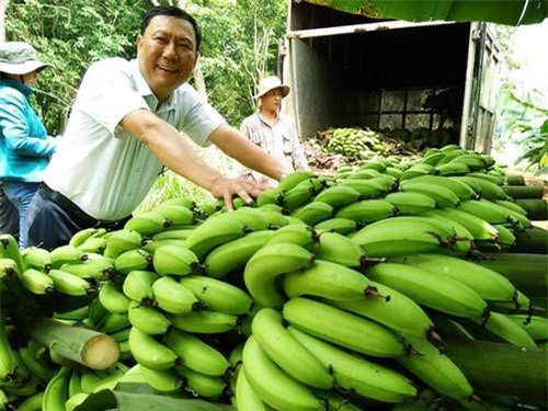 Tăng trưởng trái chiều về nhập khẩu 9 loại trái cây Việt Nam vào Trung Quốc