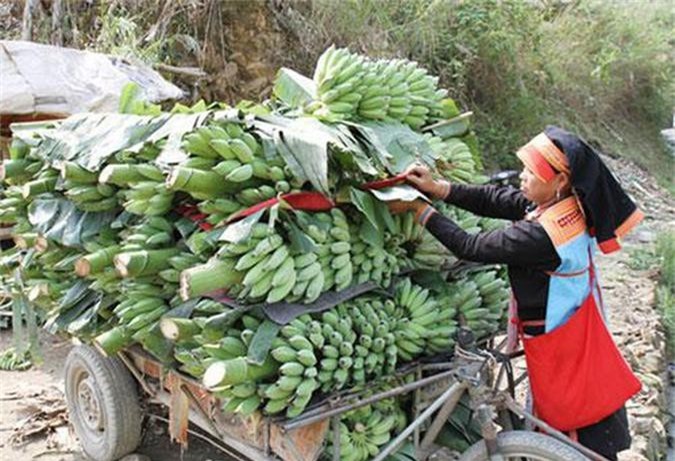 Yên Châu, Sơn La: Phát huy thế mạnh để xây dựng nông thôn mới