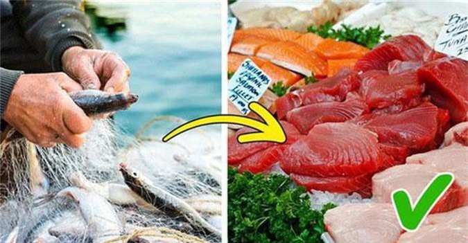 4 loại thực phẩm độc hại khiến trẻ càng ăn càng kém thông minh