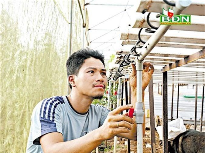 Đắk Nông: Bỏ lương nghìn đô, 9X về quê chỉ lo trồng rau bằng 'nước'