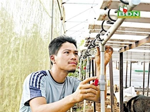 Đắk Nông: Bỏ lương nghìn đô, 9X về quê chỉ lo trồng rau bằng 'nước'