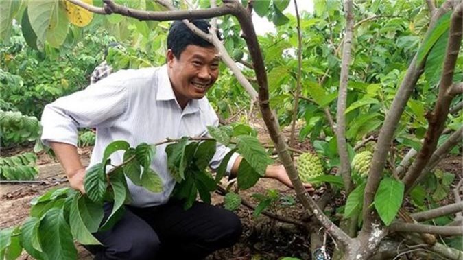 Gia Lai: Na Hoàng Hậu đậu quả ngọt ở Đông Trường Sơn