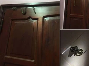Cô gái can đảm 'tiêu diệt' con rắn trên cánh cửa khiến nam nhân bội phục