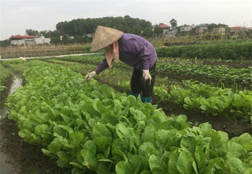 HTX làm thay đổi diện mạo nông thôn mới