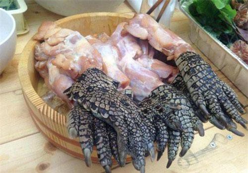 Kinh dị với món súp chân cá sấu Singapore được người bản địa vô cùng yêu thích