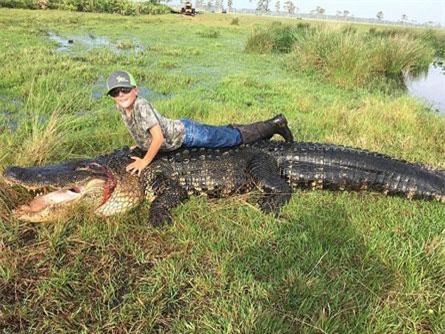 Tận mục cá sấu khổng lồ dài gần 5m vừa bị 'tóm'