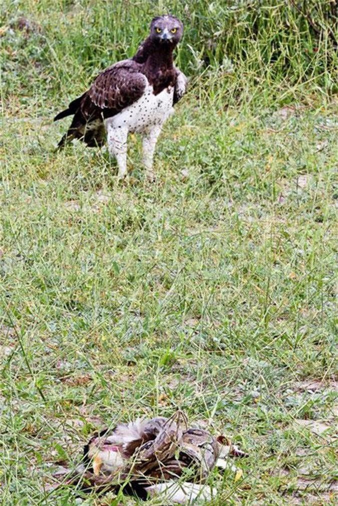 Xem &#x27;so&#xE1;i ca&#x27; &#x111;&#x1EA1;i b&#xE0;ng c&#x1B0;&#x1EDB;p ng&#x1ED7;ng kh&#x1ECF;i tr&#x103;n &#x111;&#x1EA7;y m&#x1B0;u m&#xF4;