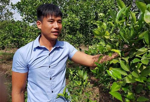 Gia Lai: Hotboy 23 tuổi bỏ túi hơn nửa tỷ/năm nhờ mê cam sành, quýt đường