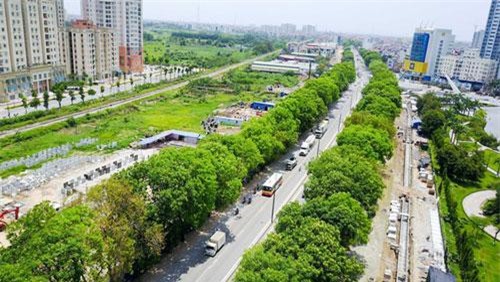 Hà Nội xin cơ chế đặc thù trồng 600.000 cây xanh