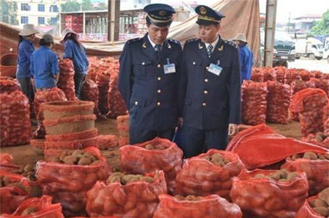 Hải quan chủ động hỗ trợ xuất khẩu nông thủy sản 6 tỉnh biên giới