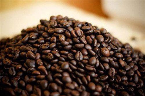 Kim ngạch xuất khẩu cà phê giảm 22,3%