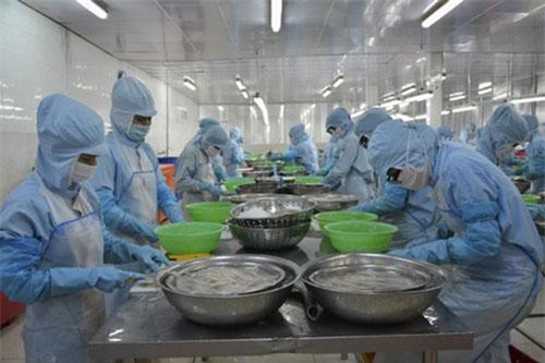 Thiếu lao động trầm trọng, doanh nghiệp thủy sản gặp khó