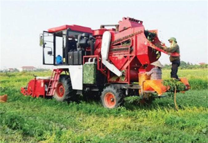 Tp.Hải Phòng đẩy mạnh việc tiếp sức cho các HTX nông nghiệp