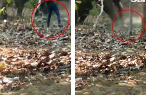 Chơi lễ quên... người đàn ông bị voi điên cuồng dẫm đạp