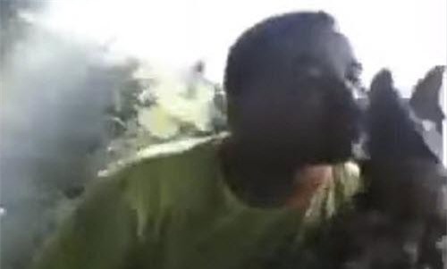 Kinh hãi người biểu diễn bị cá sấu đớp trúng mặt