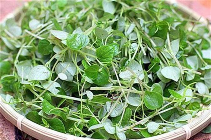 Loạt lợi ích sức khỏe bất ngờ của rau càng cua