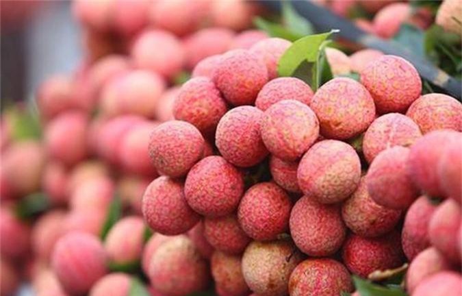 Những đặc sản dân dã khó quên của vùng đất Bắc Giang