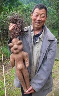 Tận mục cây hà thủ ô hình người đẹp hoàn hảo