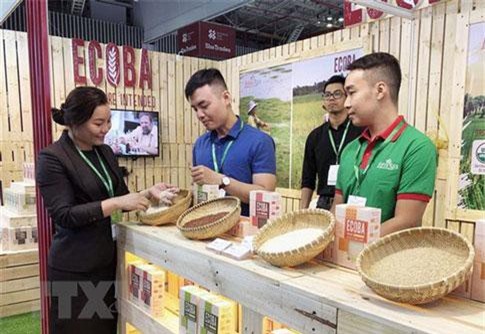 Hỗ trợ doanh nghiệp nữ làm chủ qua Food Expo 2019