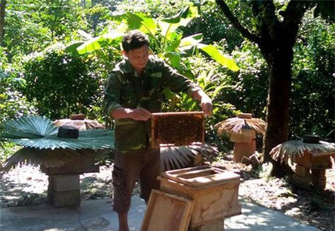 Minh Hóa, Quảng Bình: Từng bước giúp người dân giảm nghèo