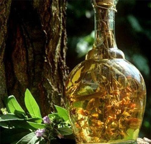 Rượu thuốc chữa đau lưng, tăng cường sinh lực