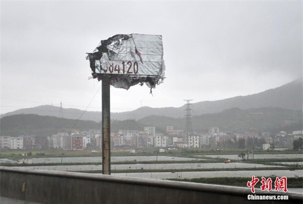 Rộ mốt đưa nhau ra biển chụp ảnh cưới giữa siêu bão Dujuan