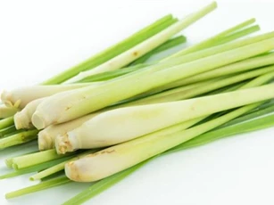 6 lợi ích tuyệt hảo của cây sả