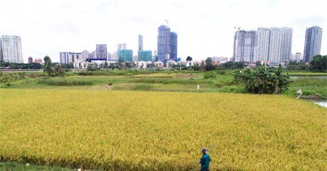BẢN TIN TÀI CHÍNH-KINH DOANH: Con Cưng tuyên bố tặng 1 tỷ đồng cho ai tìm ra hàng không chính hãng, Bộ Công Thương sắp xếp 25 cục và cắt giảm 305 đội quản lý thị trường