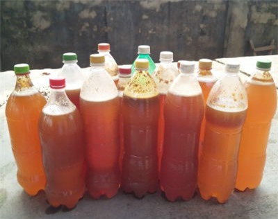 Băng rừng theo chân “thợ” đi “hái lộc”