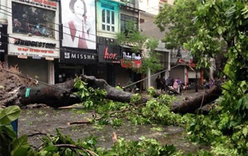 Bão số 1 làm 7 người chết và mất tích, 25.000 nhà tốc mái