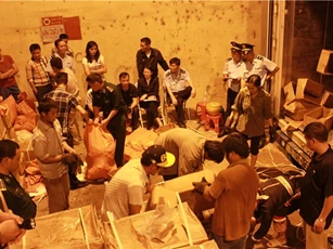 Bắt giữ 2 tấn vảy têtê, 860 kg ngà voi núp bóng hàng đông lạnh