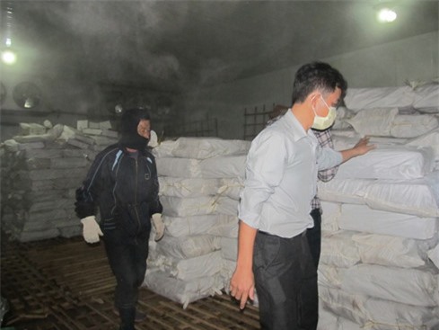 Cá nục nhiễm độc phenol được cho là an toàn, Sở Y tế Quảng Trị nói gì?