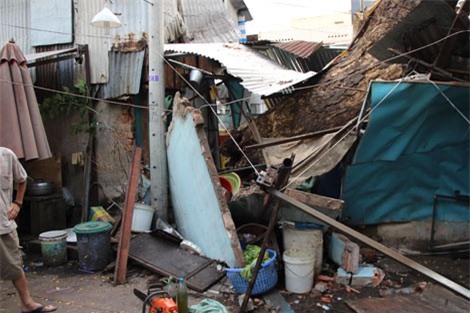 Cây cổ thụ đường kính hơn 1 mét bật gốc đè sập nhà dân dù trời không mưa