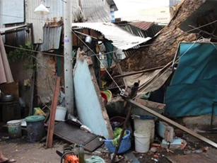 Cây cổ thụ đường kính hơn 1 mét bật gốc đè sập nhà dân dù trời không mưa