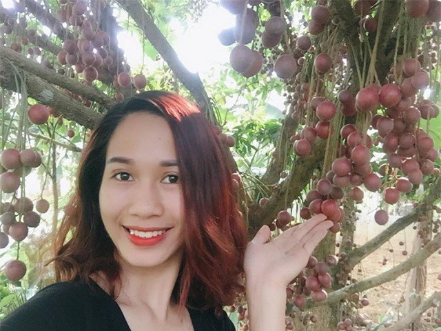 "Chết thèm" vì cây dâu da đất chi chít quả, đổi màu tím "lạ" trong vườn nhà cô giáo mầm non ở Phú Thọ