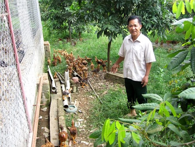 Cựu chiến binh Lý Văn Thiệp: Người lính xung kích trên mặt trận kinh tế