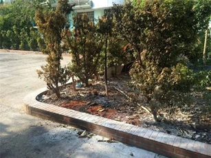 Dập tắt vụ cháy, hoảng hồn phát hiện xác thanh niên cháy đen
