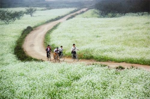 Điểm vui chơi Tết Đinh Dậu gần Hà Nội cho dân"phượt" 