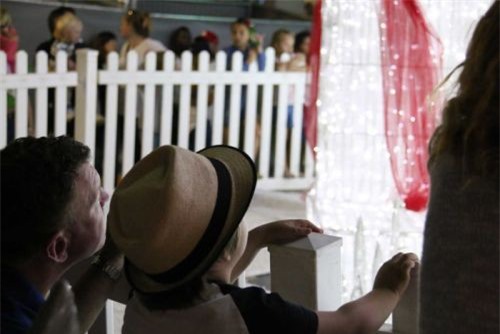 Được lắp hơn 500.000 bóng đèn - Cây thông Noel ở Australia lập kỷ lục Guinness