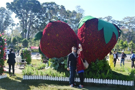 Festival hoa Đà Lạt hút gần 500.000 khách thưởng hoa