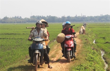 Gác chuyện du Xuân tốn kém, bắt tay ngay vào công việc