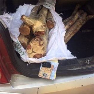 Hà Nội: Bắt quả tang gần 1 tạ gỗ sưa trên xế hộp