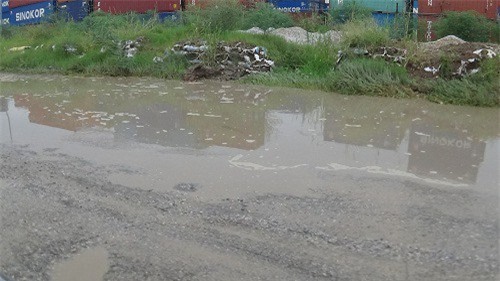 Hải Phòng: Hệ thống thoát nước trên quốc lộ 5 bị tắc nghẽn