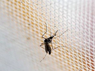 Hàn Quốc xác nhận ca nhiễm virus Zika đầu tiên