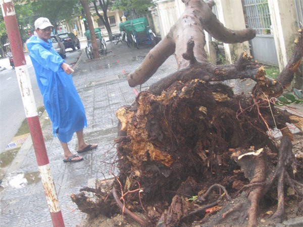 Cơn bão số 3: Hội An lên phương án di dời hàng nghìn hộ dân