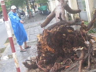Cơn bão số 3: Hội An lên phương án di dời hàng nghìn hộ dân