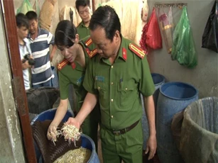Kinh hãi quy trình sản xuất giá đỗ tẩm hóa chất rồi mang tiêu thụ