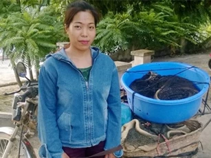 Kinh hoàng 100kg nội tạng trâu bò hôi thối suýt lên bàn nhậu