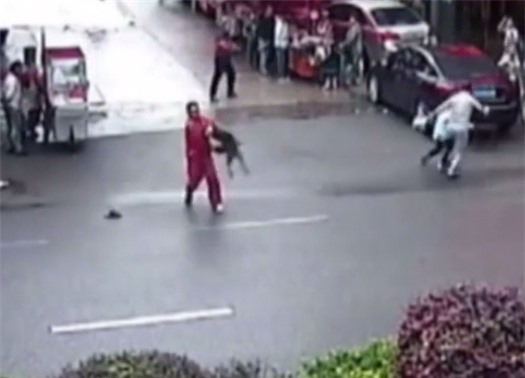 Kinh hoàng chó dữ nổi điên tấn công hàng chục người trên phố