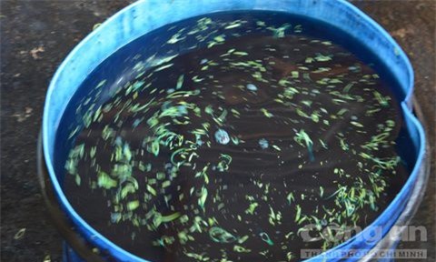 Lại phát hiện cơ sở ngâm rau muống vào hóa chất ở TP. HCM